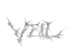 Projext Veil